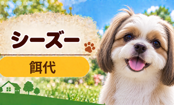 シーズーの餌代は月いくら？体重からドッグフード代をシミュレーション