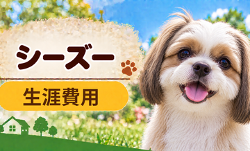 シーズーの生涯費用はいくら？子犬からシニアまで長期で考える