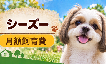 シーズーの飼育費は月いくら？食費・日用品・保険料を家計シミュレーション