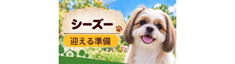 シーズーを迎えるときに必要なもの｜サイズ選びと初期費用