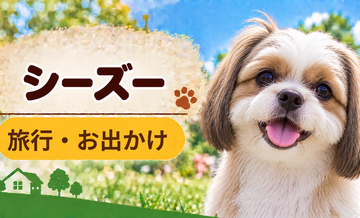 シーズーと旅行するときの持ち物｜移動・宿泊で役立つ犬用品
