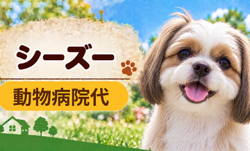 シーズーの動物病院代は年間いくら？健康診断・予防・急な通院に備える