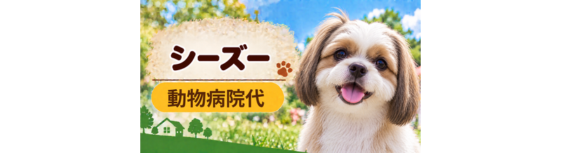 シーズーの動物病院代は年間いくら？健康診断・予防・急な通院に備える
