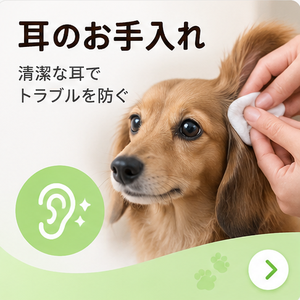 皮膚のケア