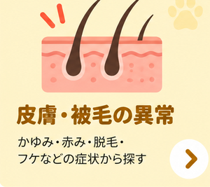 皮膚・被毛の異常