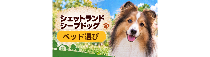 シェットランドシープドッグのベッド選び｜体格・季節・洗いやすさで比較