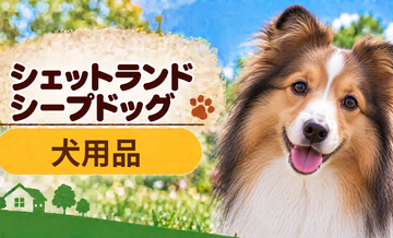 シェットランドシープドッグ向け犬用品の選び方｜ケージ・ベッド・ハーネスをまとめて確認