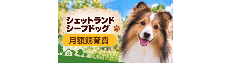 シェットランドシープドッグの飼育費は月いくら？食費・日用品・保険料を家計シミュレーション
