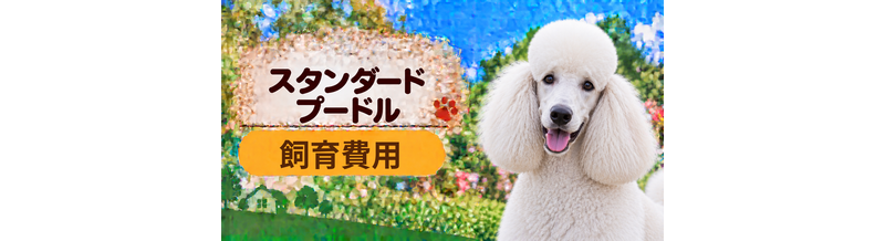 スタンダードプードルを飼う費用はいくら？初期費用・年間費用・生涯費用を解説