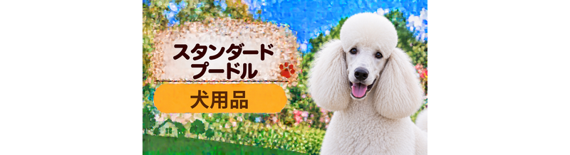 スタンダードプードル向け犬用品の選び方｜ケージ・ベッド・ハーネスをまとめて確認