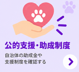 公的支援・助成制度