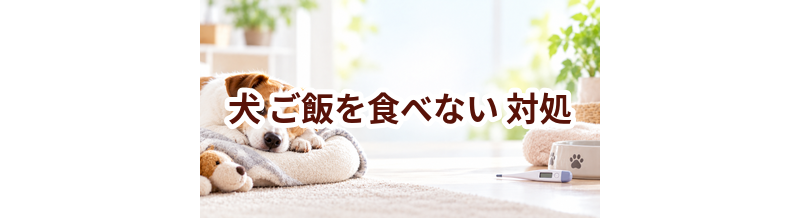 犬がご飯を食べないときはどうする？自宅で確認したいことと受診の目安