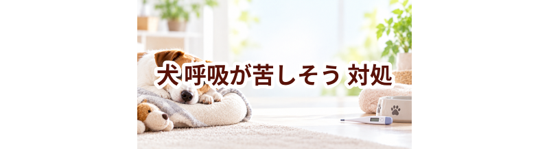 犬が呼吸が苦しそうときはどうする？自宅で確認したいことと受診の目安