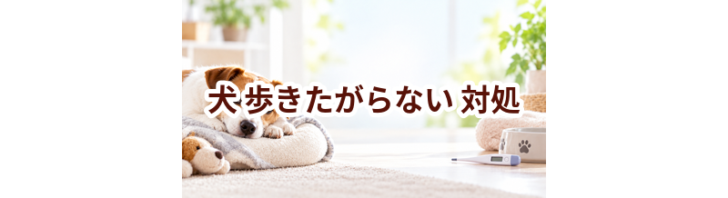 犬が歩きたがらないときはどうする？自宅で確認したいことと受診の目安