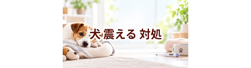 犬が震えるときはどうする？自宅で確認したいことと受診の目安