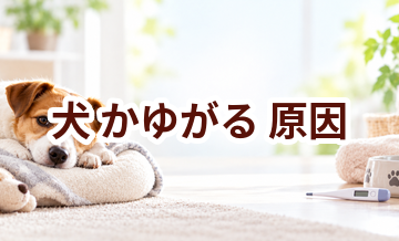犬がかゆがる原因は？考えられることと動物病院で伝えたいポイント