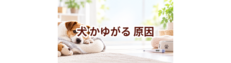 犬がかゆがる原因は？考えられることと動物病院で伝えたいポイント