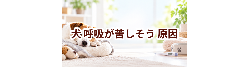 犬が呼吸が苦しそう原因は？考えられることと動物病院で伝えたいポイント