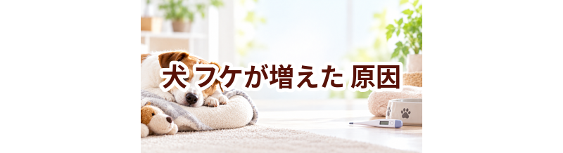 犬がフケが増えた原因は？考えられることと動物病院で伝えたいポイント