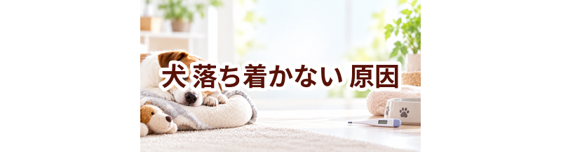 犬が落ち着かない原因は？考えられることと動物病院で伝えたいポイント