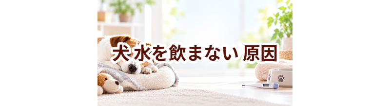 犬が水を飲まない原因は？考えられることと動物病院で伝えたいポイント