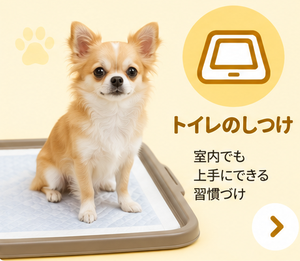トイレのしつけ