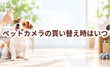 ペットカメラの買い替え時はいつ？安全に使うためのチェックポイント