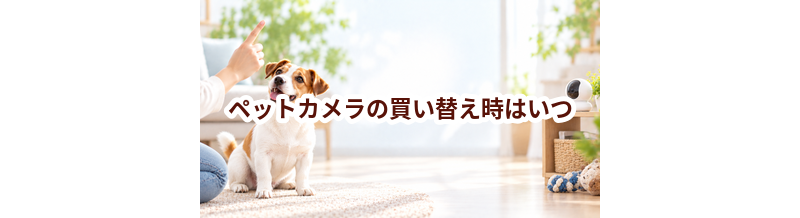 ペットカメラの買い替え時はいつ？安全に使うためのチェックポイント