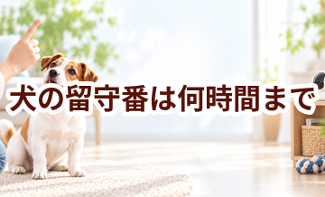 犬の留守番は何時間まで？環境づくりと便利グッズ