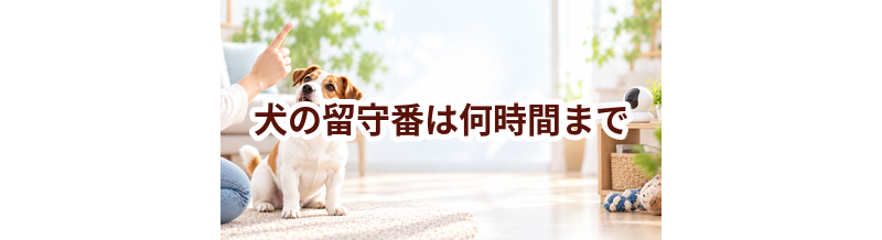 犬の留守番は何時間まで？環境づくりと便利グッズ