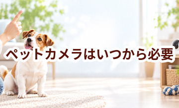 ペットカメラはいつから必要？使い始めるタイミングと選び方