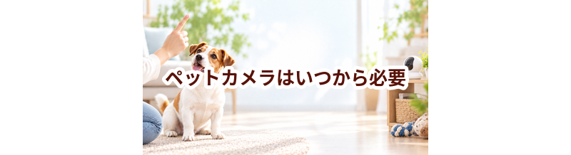 ペットカメラはいつから必要？使い始めるタイミングと選び方