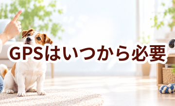 GPSはいつから必要？使い始めるタイミングと選び方