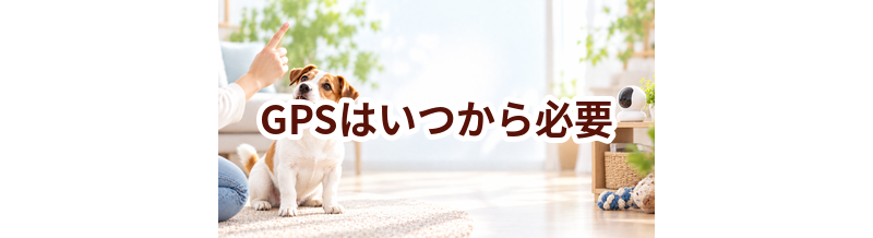 GPSはいつから必要？使い始めるタイミングと選び方