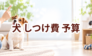犬のしつけ費で後悔しないために｜予算を決める前のチェック項目