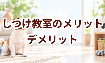 しつけ教室のメリット・デメリット｜向いている家庭を考える