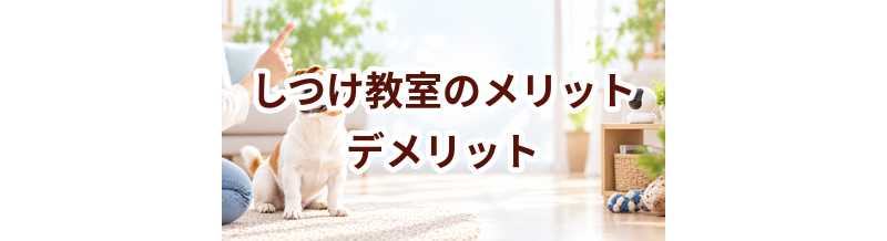 しつけ教室のメリット・デメリット｜向いている家庭を考える