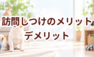 訪問しつけのメリット・デメリット｜向いている家庭を考える