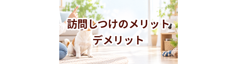 訪問しつけのメリット・デメリット｜向いている家庭を考える