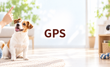 GPSはいくら？価格帯と長く使うための選び方