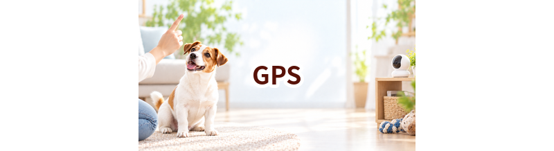 GPSはいくら？価格帯と長く使うための選び方