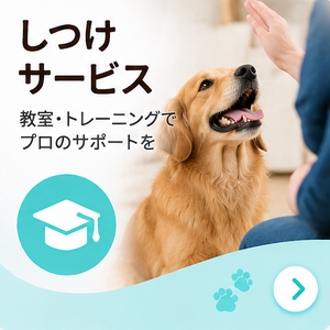 しつけサービス