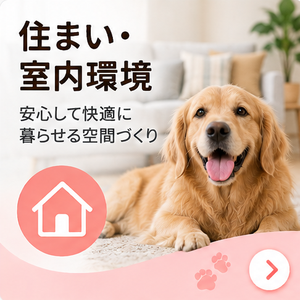 外出・旅行用品