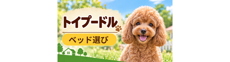 トイプードルのベッド選び｜体格・季節・洗いやすさで比較