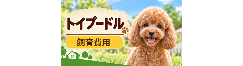 トイプードルを飼う費用はいくら？初期費用・年間費用・生涯費用を解説