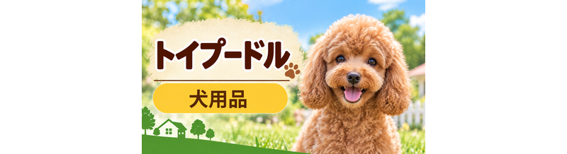 トイプードル向け犬用品の選び方｜ケージ・ベッド・ハーネスをまとめて確認