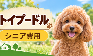 シニア期のトイプードルにかかる費用｜食事・医療・介護の準備