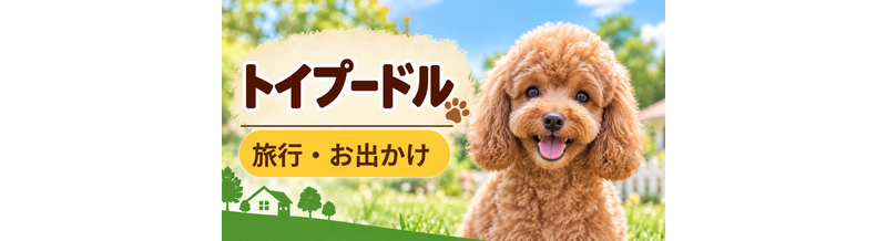 トイプードルと旅行するときの持ち物｜移動・宿泊で役立つ犬用品