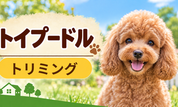 トイプードルのトリミング代はいくら？頻度と年間費用を計算