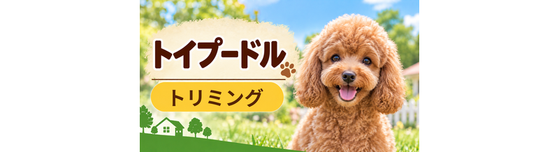 トイプードルのトリミング代はいくら？頻度と年間費用を計算